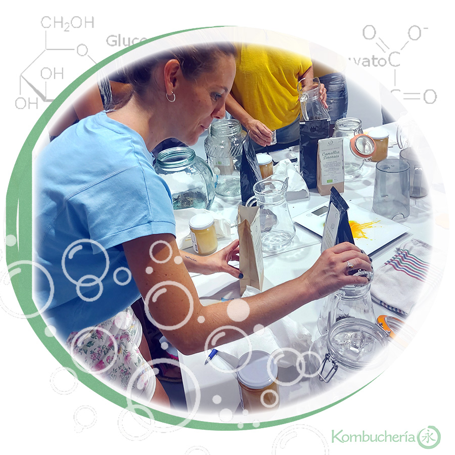 Taller de Kombucha